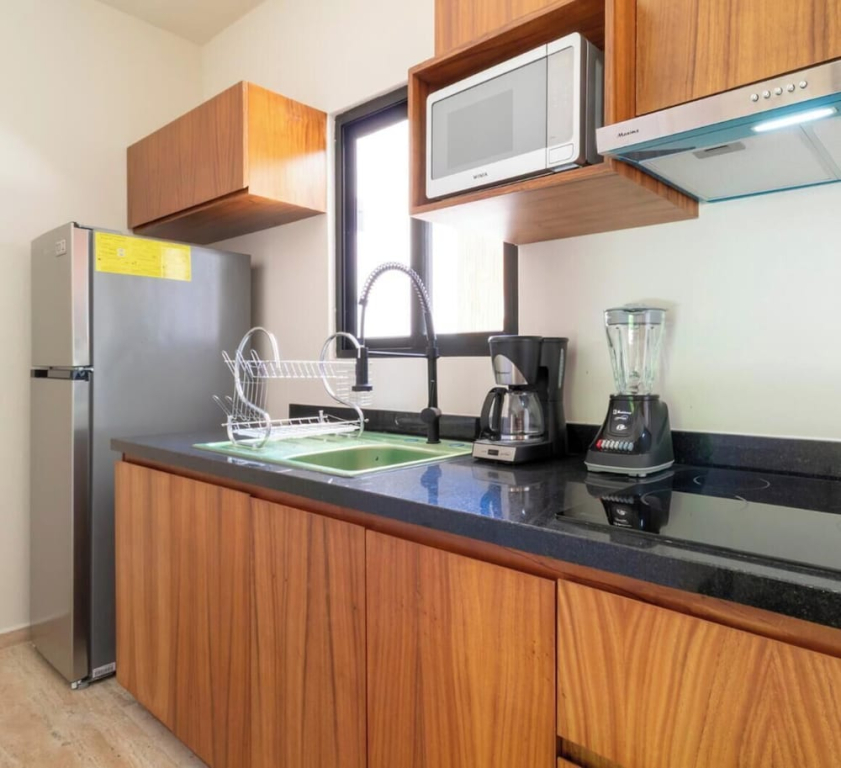 Apt with Private Rooftop Tulum 2 BR