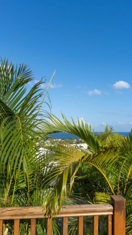 Bungalow Exotic