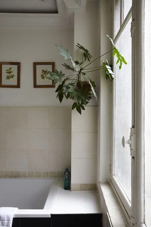 Botanical Eclecticism in the 20th