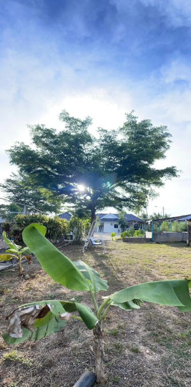 wans homestay