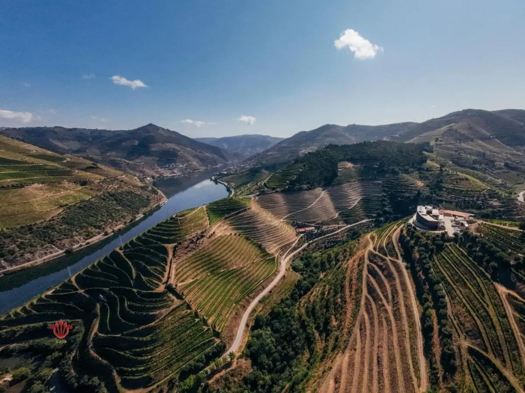 Barrilario Douro Wine Hotel e Spa - Quinta São Jose do Barrilario
