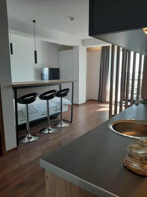 Ariš Kopaonik apartman A21