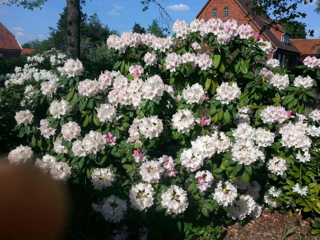 Bio Ferienwohnung