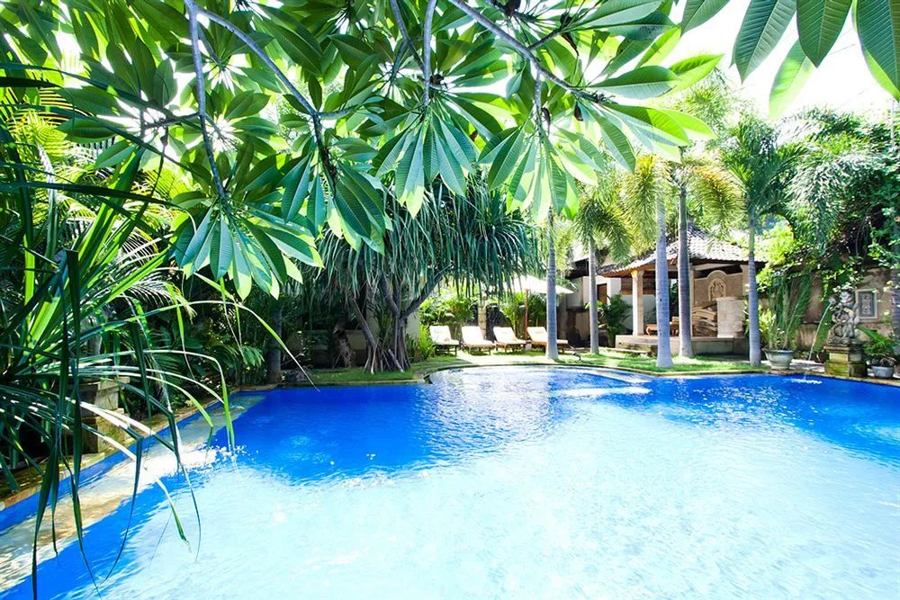Pazzo Bali