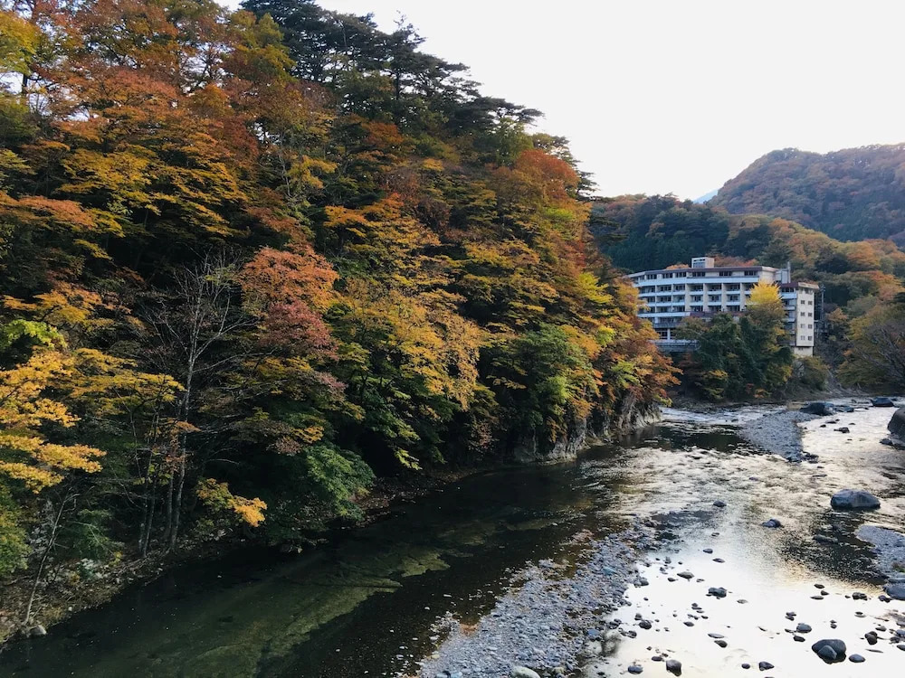 Nikko Garden Hotel