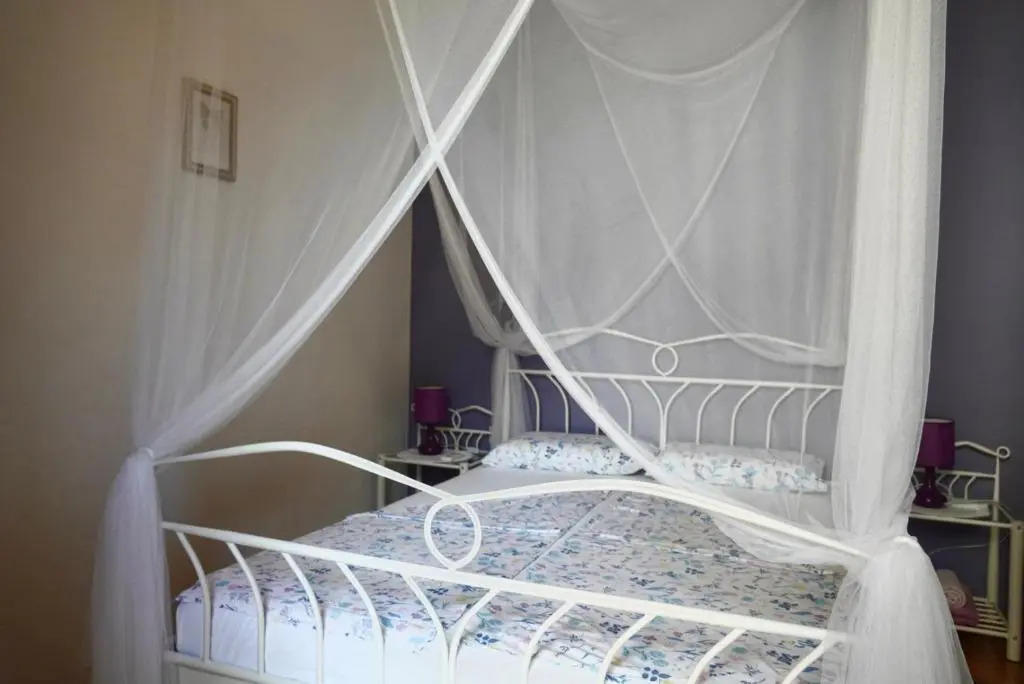 Apartment Ribar
