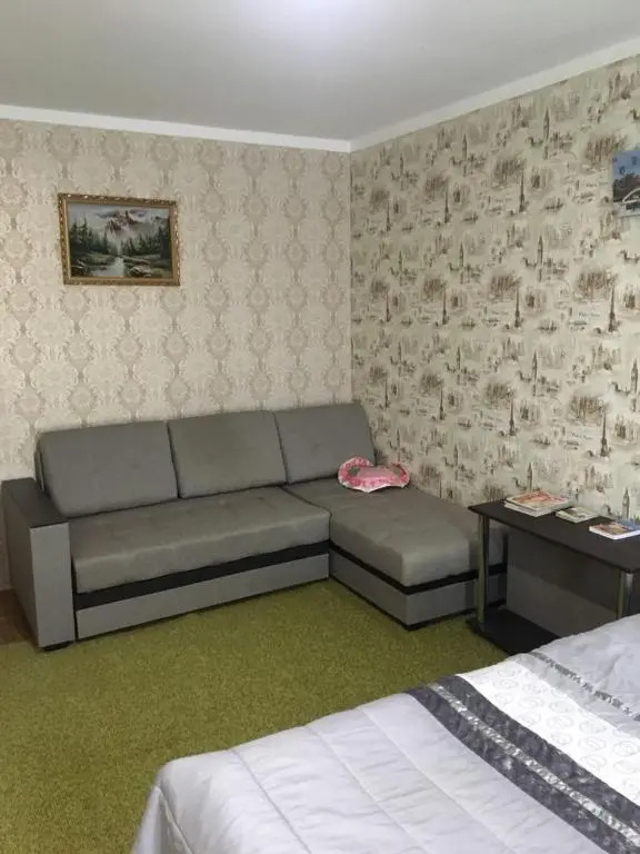 Apartment on Abazgaa 49/4