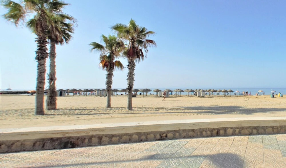 Apartment - Amatista 9
