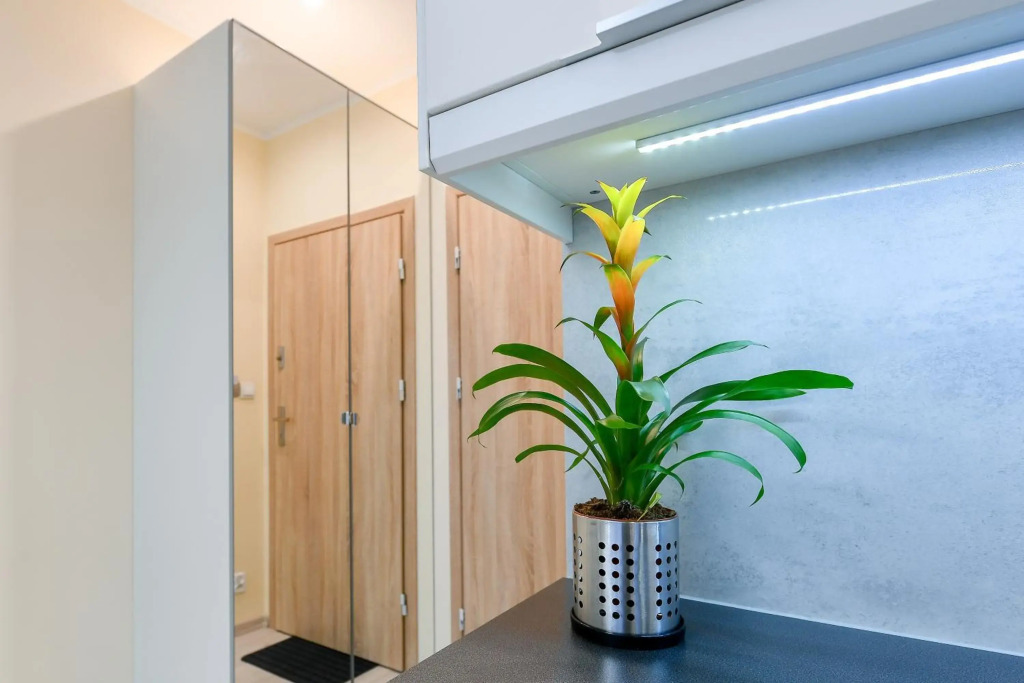 MOKO Apartment II
