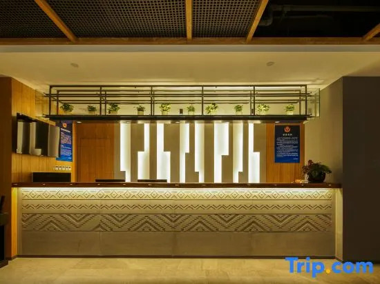 True Go Hotel Beijing New International Exhibition Center Capital Airport