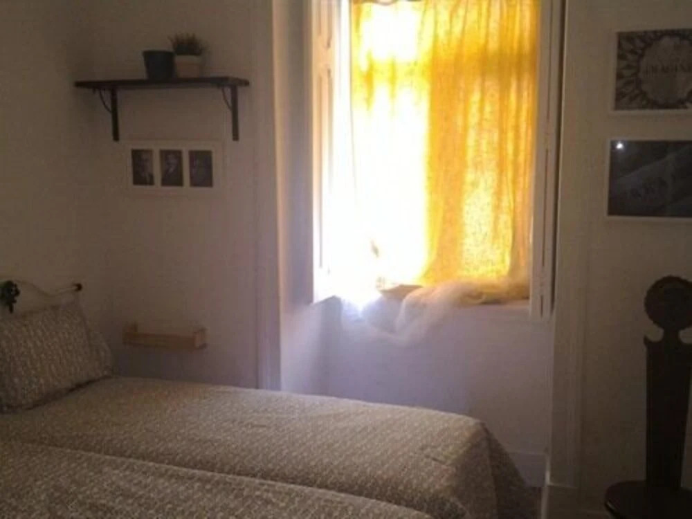 R & Freud Guest House