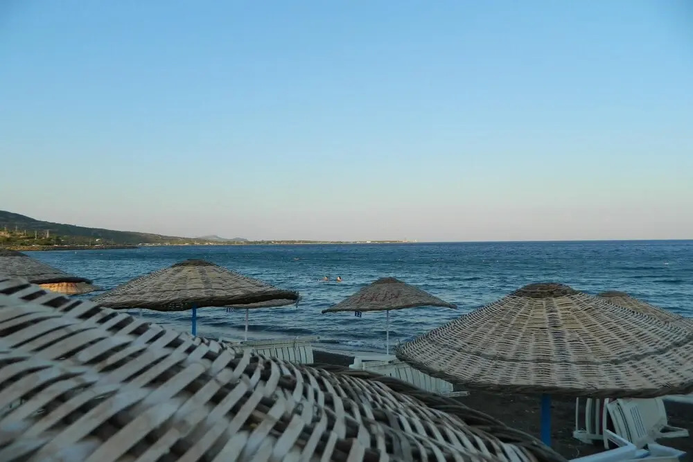 Ekin Assos