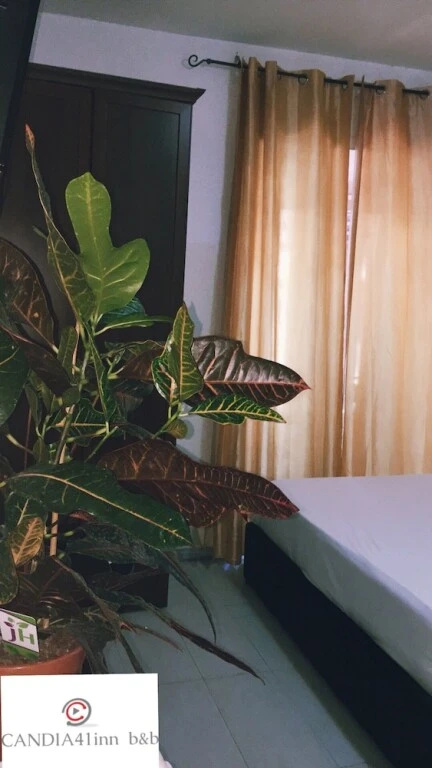 Suri Suites