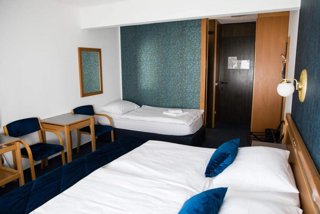 Hotel Alp