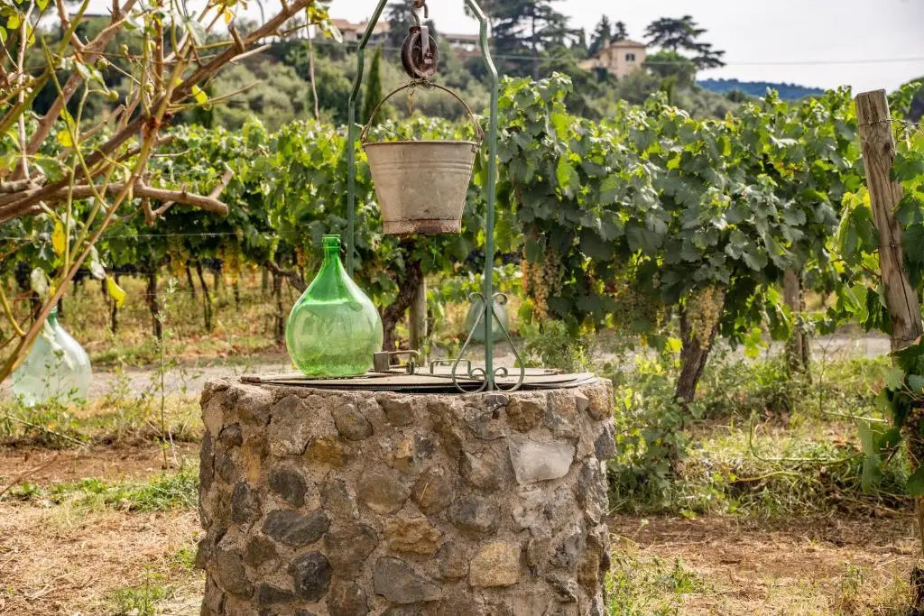 Un' Ottima Annata - La casa nel vigneto