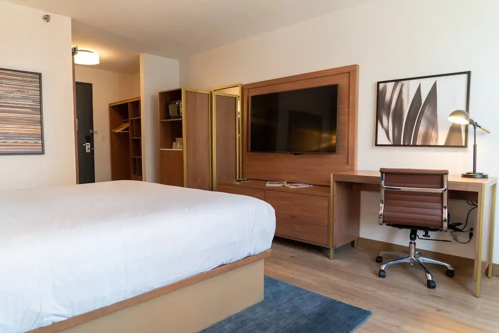 Hotel Indigo Detroit Downtown by IHG