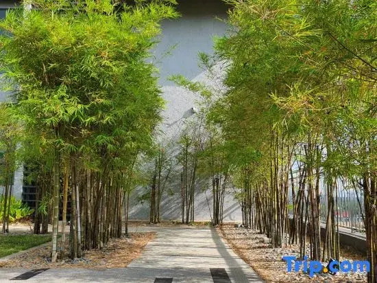 Kuantan Imperium seaview cityview by Avenzee