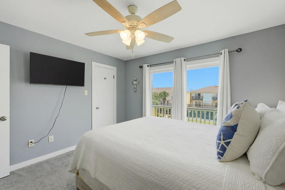 Sand Dollar 30
