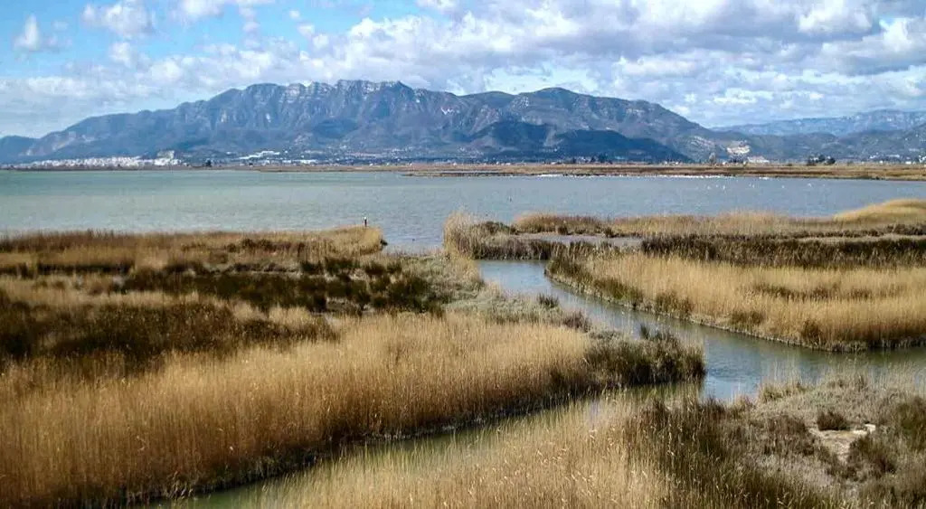 Mi Apartamento en el Delta del Ebro