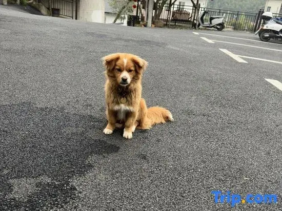 My Trip, My Stay · GoStay Vacation Villa (Ningguo Chujiatan Xijin Wild Ferry Wharf Branch)
