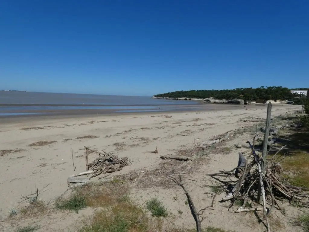 Appartement Meschers-sur-Gironde, 3 pièces, 6 personnes - FR-1-71-81