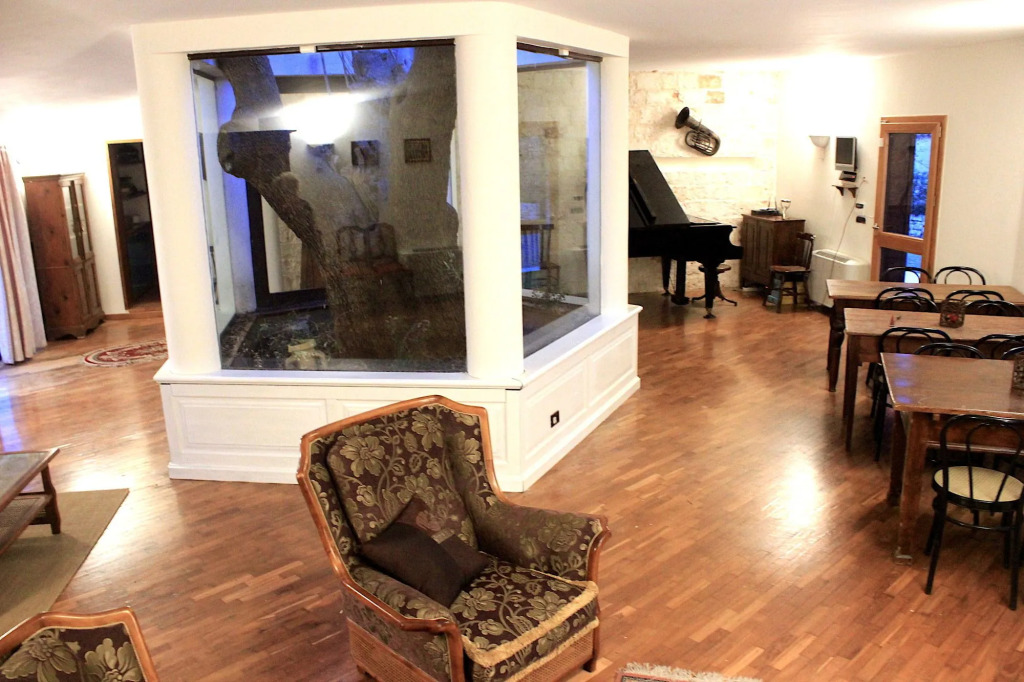 B&B Antico Ulivo