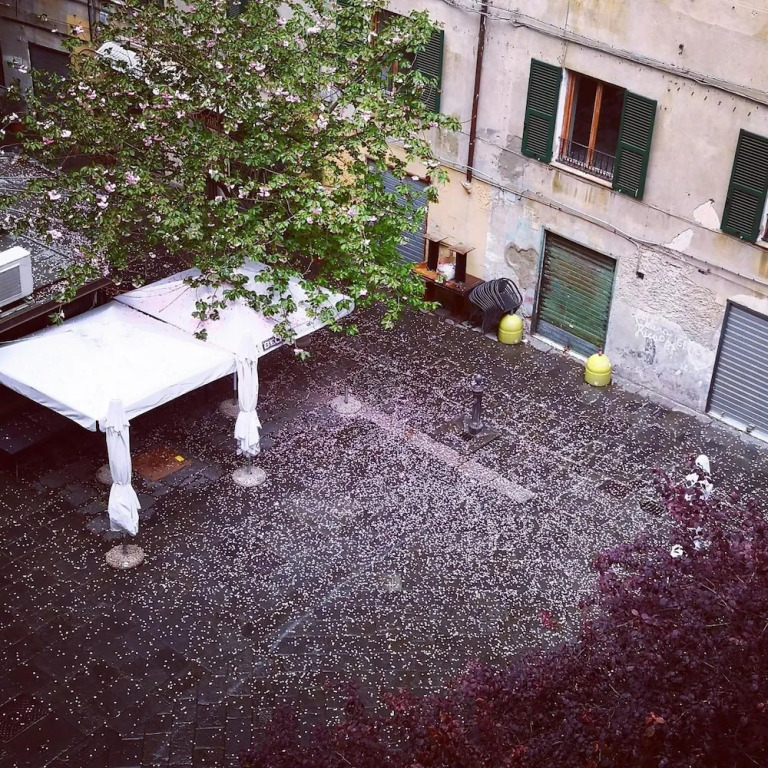 B&B Lavagna Uno