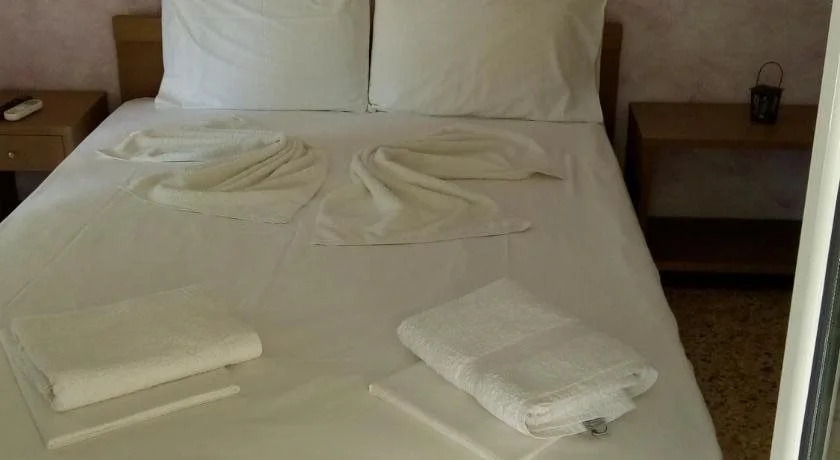 Hotel Ion