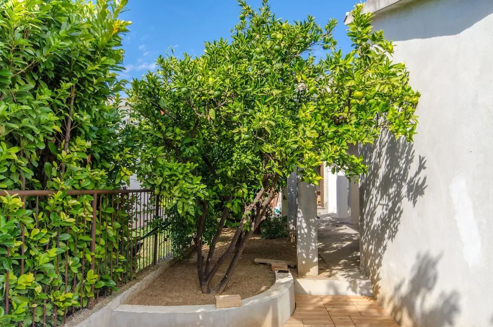 Apartman Lucija