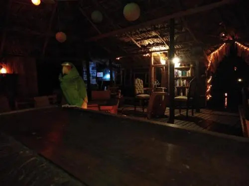 Casa Bambutan