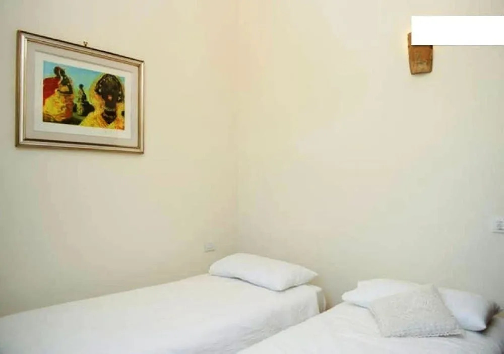 Gli olivi