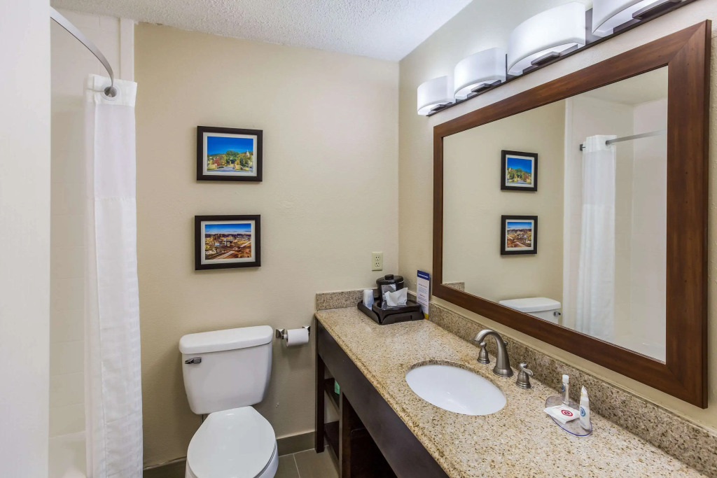 Comfort Inn Charleston South