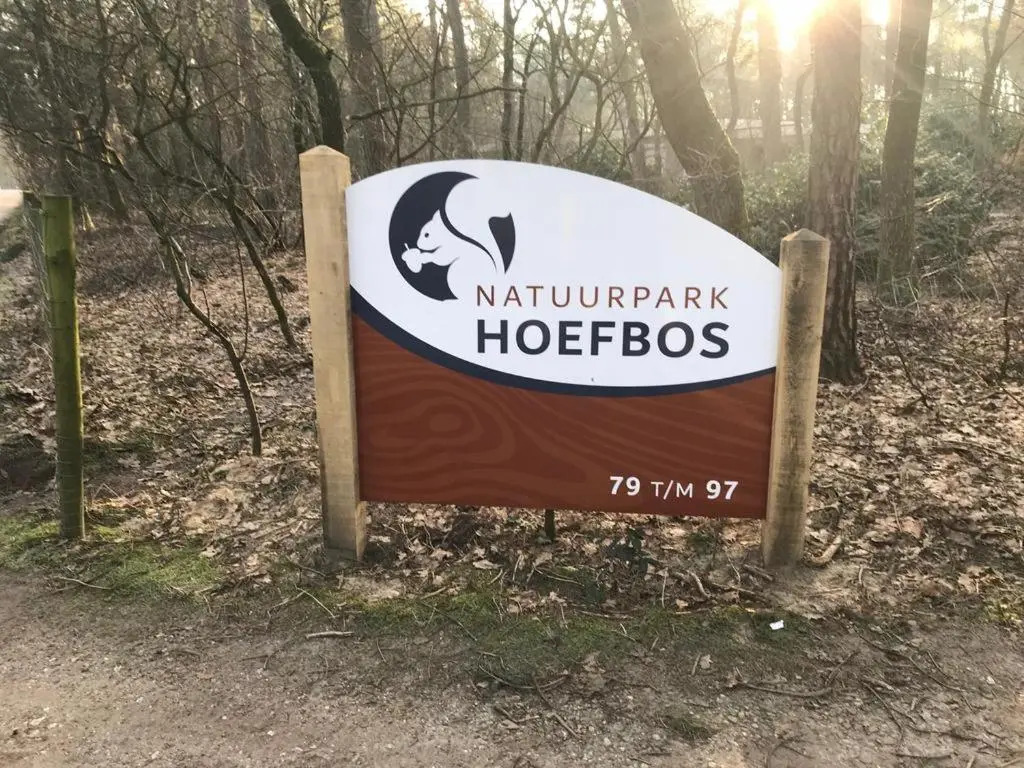 Comfortabel tot rust komen in het Veluwse bos