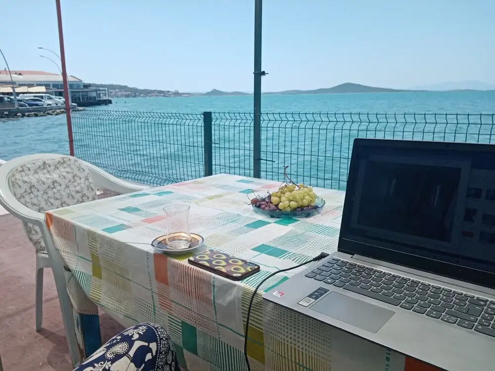 Palm Hostel&Cafe