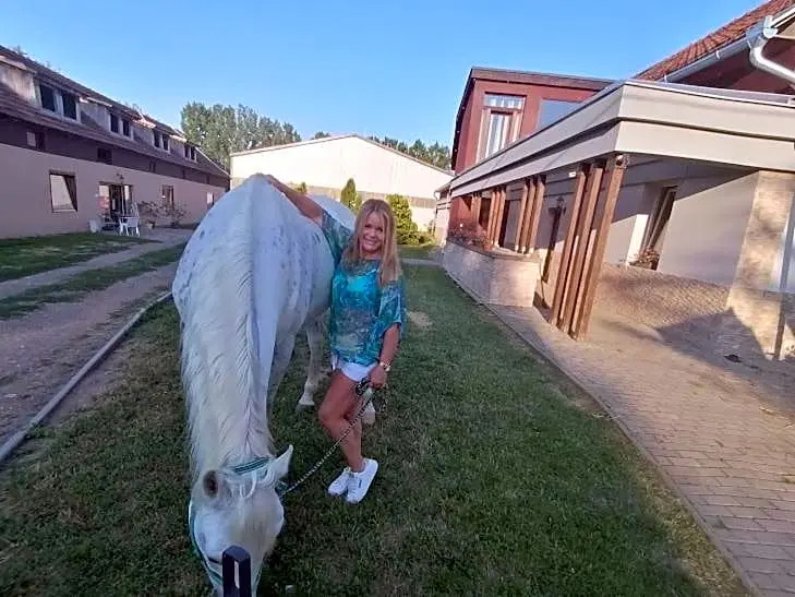 Silver Horse Ranch