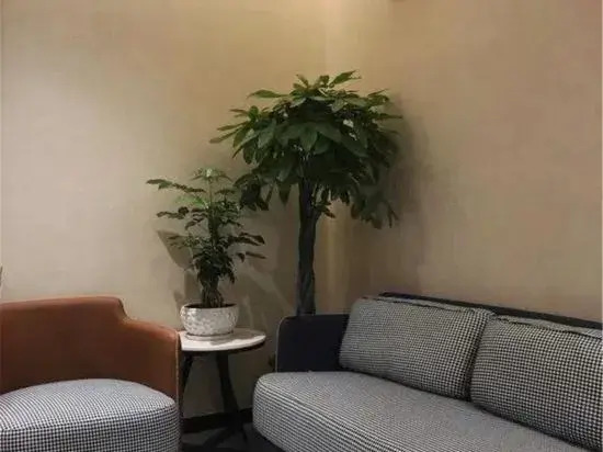 Zheli Fashionable Hotel