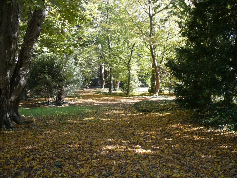 B&B Giardino Jappelli