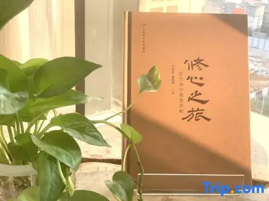 Zui Liuzhou Homestay (Sunshine 100 Yaobu Ancient Town)