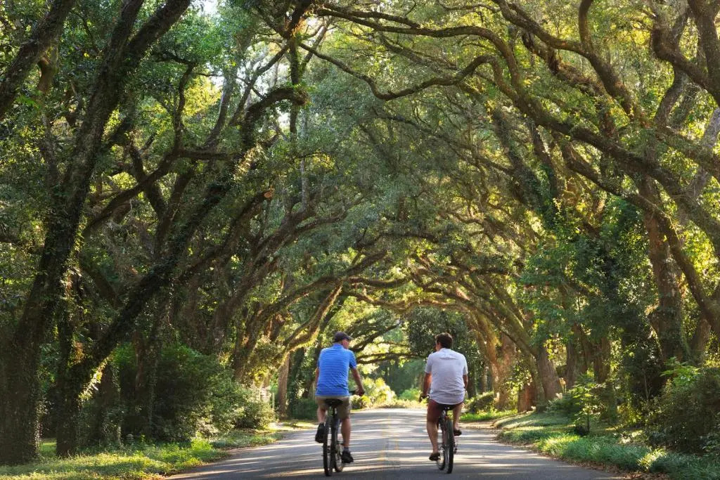 Magnolia Springs Bed and Breakfast
