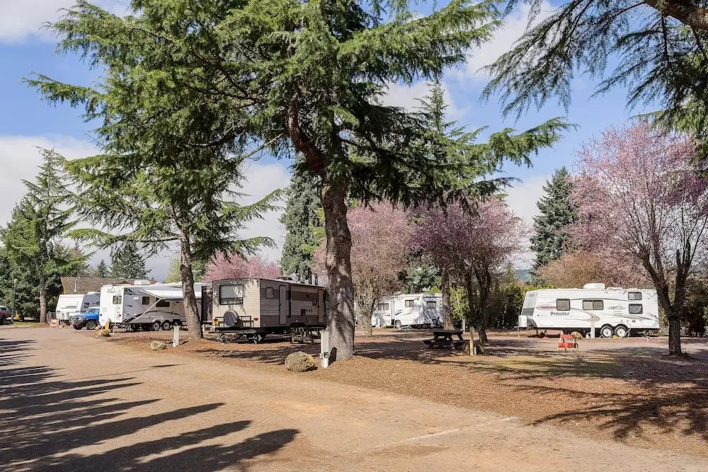 The Village Green