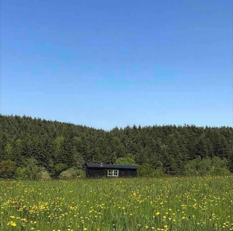 Dog Friendly Shepherd's Hut, Perfect for Couples