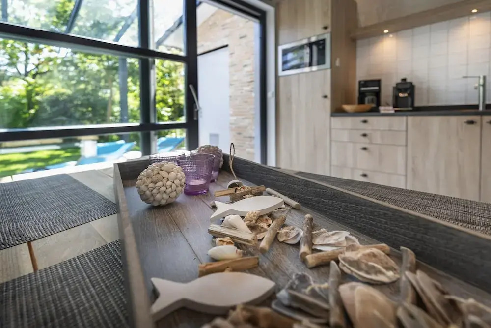Beach Villa in North Holland With Patio