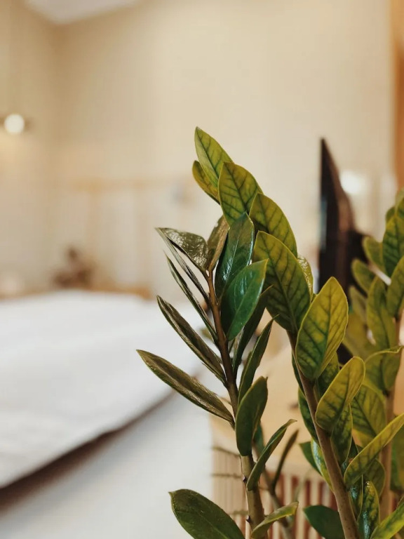 XOM House Biển Hồ