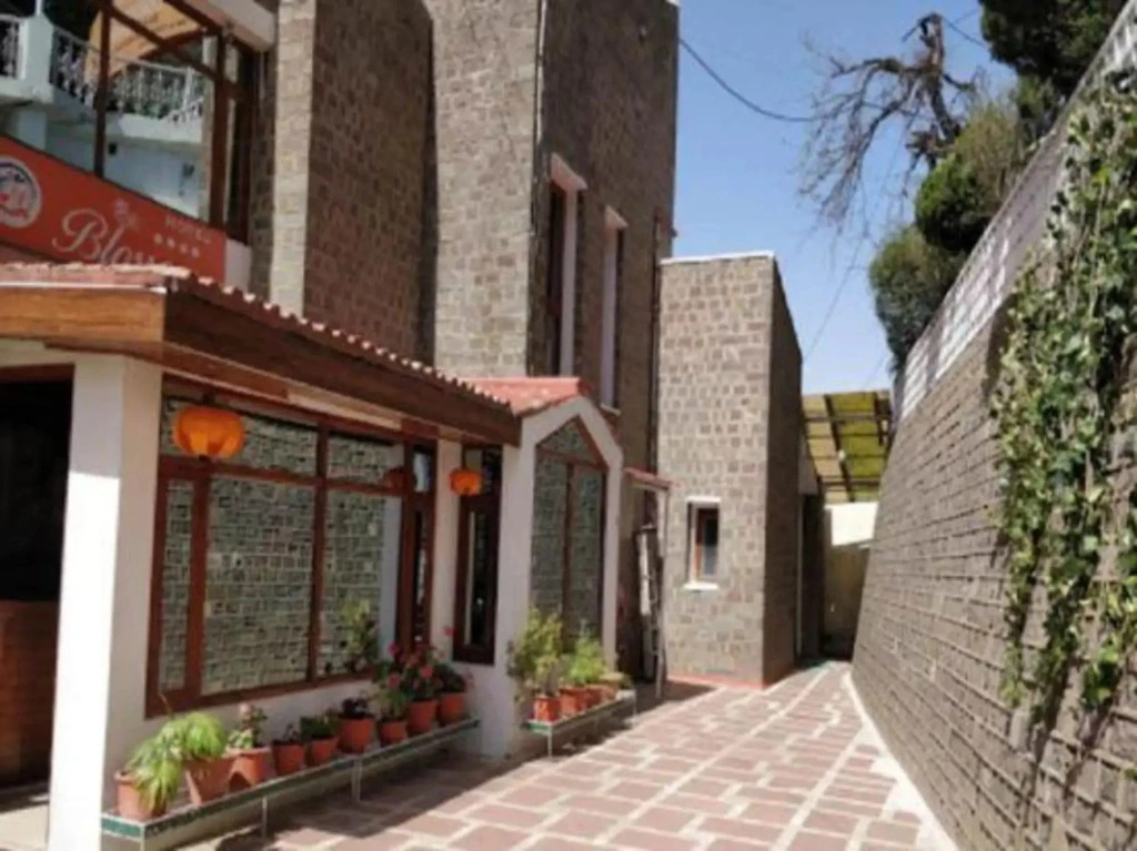 Hotel Blossom Shimla ( Bar & Restaurant )