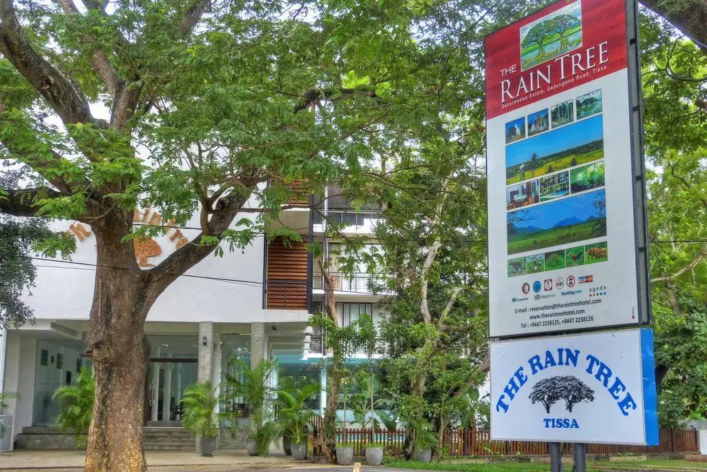 Rain Tree by Oak Ray