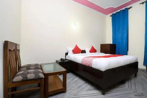 OYO 26753 Hotel Metro Park View