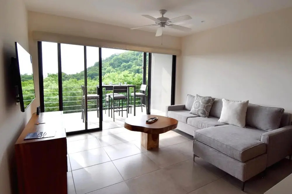 Agaves 203