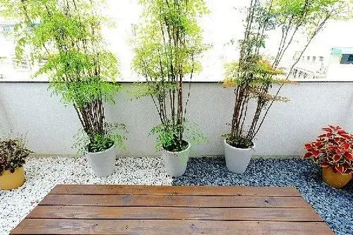 Kim JJ Homestay