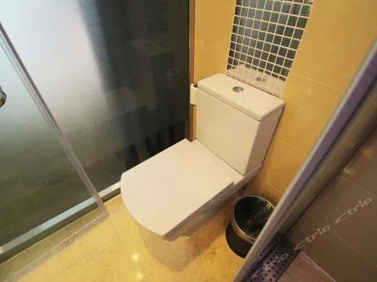 Hanting Premium Hotel Shanghai Xinzhuang South Plaza Hotel