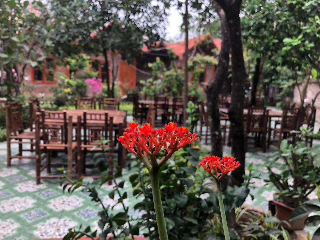 Tam Coc Thanh Dat Homestay